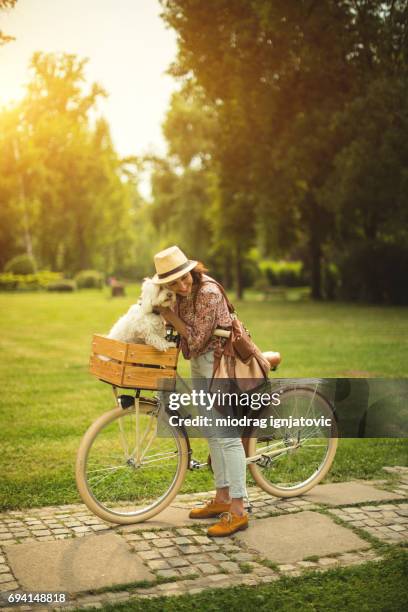 dog is the best friend forever - bicycle basket stock pictures, royalty-free photos & images