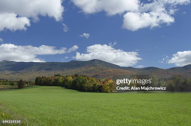 pasture, green mountains vermont - mansfield imagens e fotografias de stock