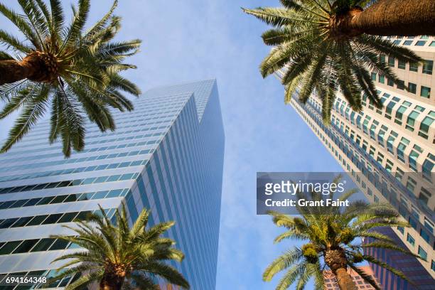 view of  downtown. - city of los angeles stock pictures, royalty-free photos & images