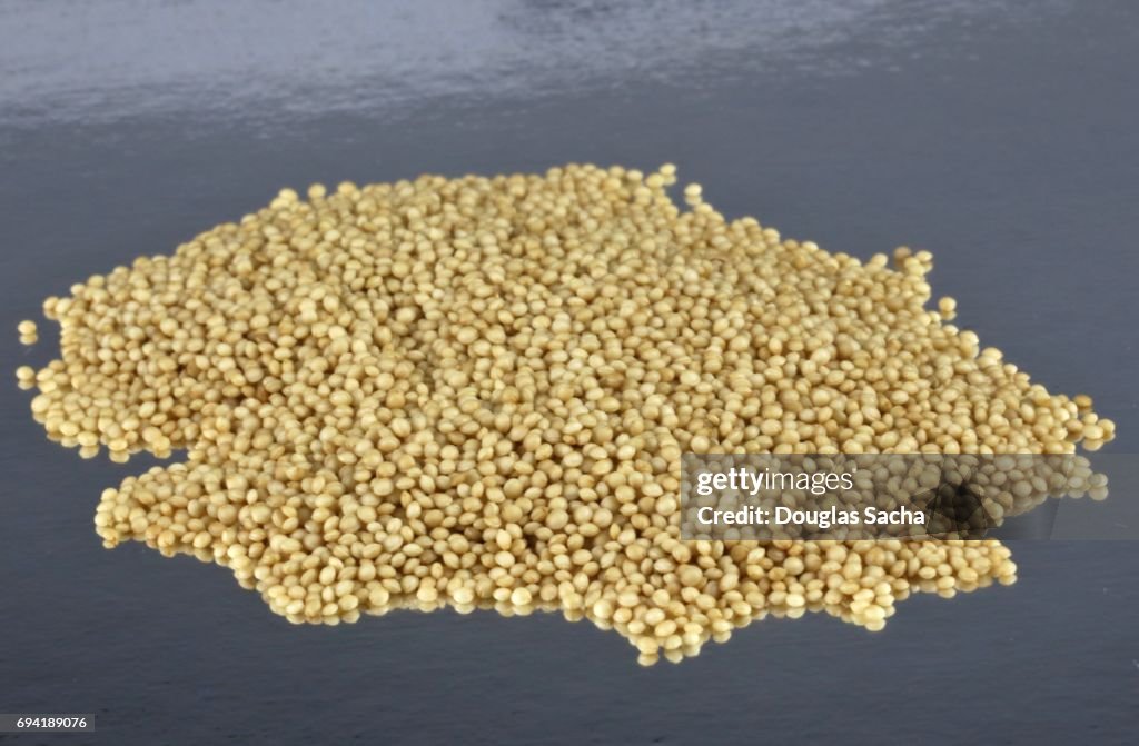 Close-up of Amaranth grain (Amaranthus cruentus)