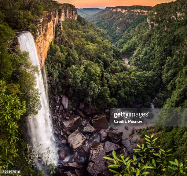 fitzroy falls - australian waterfalls stock pictures, royalty-free photos & images