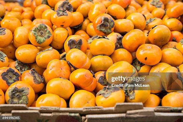 persimmons for sale at farmer's market - persimone stock-fotos und bilder