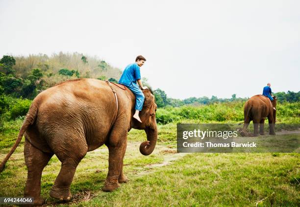 Children Riding Elephants Teenage Son And Father Riding Asian Elephants In Chiang Rai Thailand ...