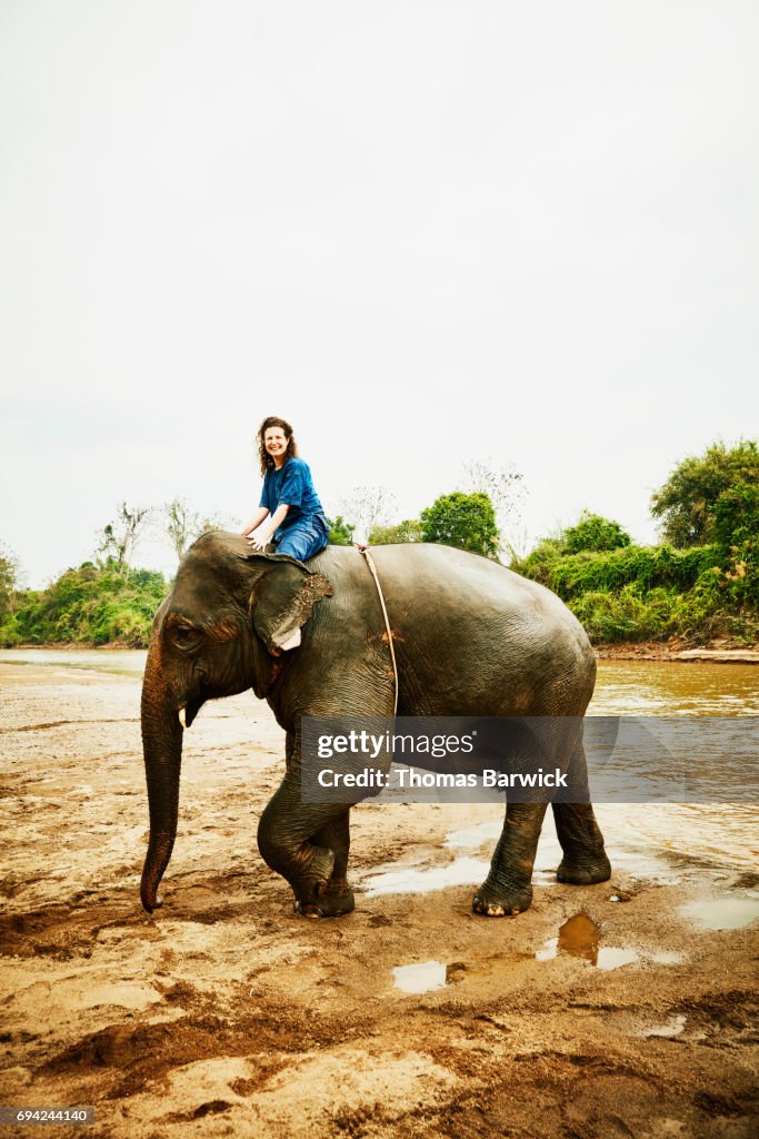 Smiling woman riding Asian elephant near river in Chiang Rai Thailand