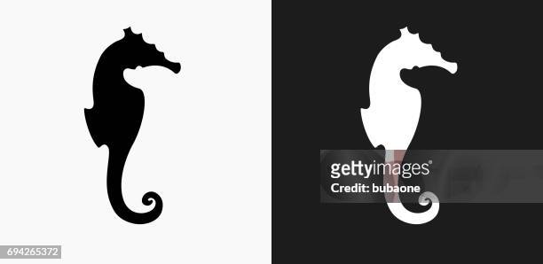 seahorse icon on black and white vector backgrounds - sea horse stock illustrations
