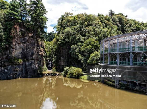 park of pedreiras - curitiba stockfoto's en -beelden