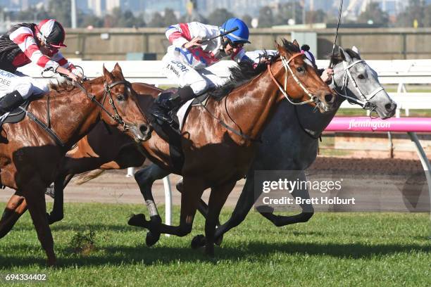 Andaz ridden by Ben Melham dead heats with Royal Phoenix ridden by James Winks the Eugene Gorman Handicap at Flemington Racecourse on June 10, 2017...