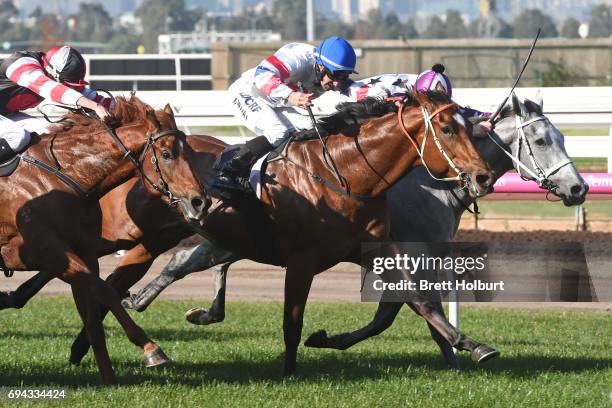 Andaz ridden by Ben Melham dead heats with Royal Phoenix ridden by James Winks the Eugene Gorman Handicap at Flemington Racecourse on June 10, 2017...