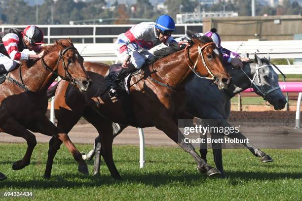 Andaz ridden by Ben Melham dead heats with Royal Phoenix ridden by James Winks the Eugene Gorman Handicap at Flemington Racecourse on June 10, 2017...