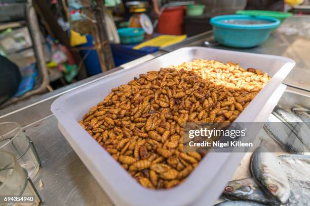 Thailand Insects Grubs Photos and Premium High Res Pictures - Getty Images