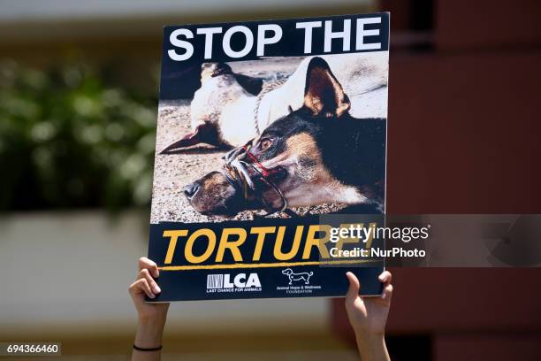 Animal rights activists gather in front of the Chinese Consulate General in Los Angeles to protest China's dog meat trade and Yulin Dog Meat...