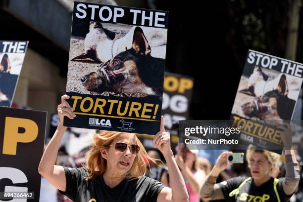 Animal rights activists gather in front of the Chinese Consulate General in Los Angeles to protest China's dog meat trade and Yulin Dog Meat...