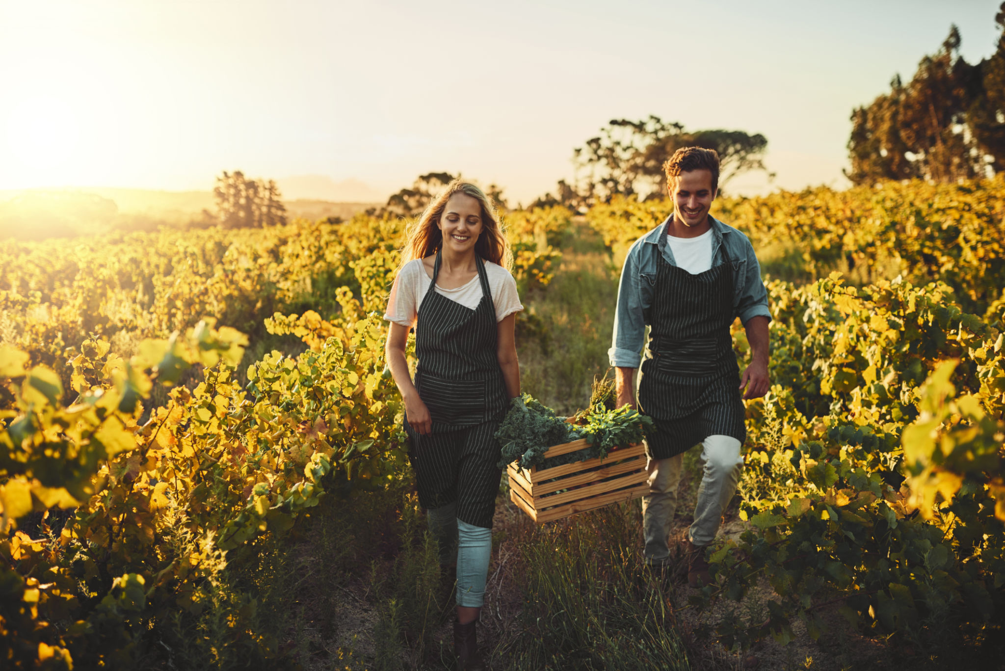 small business sustainability