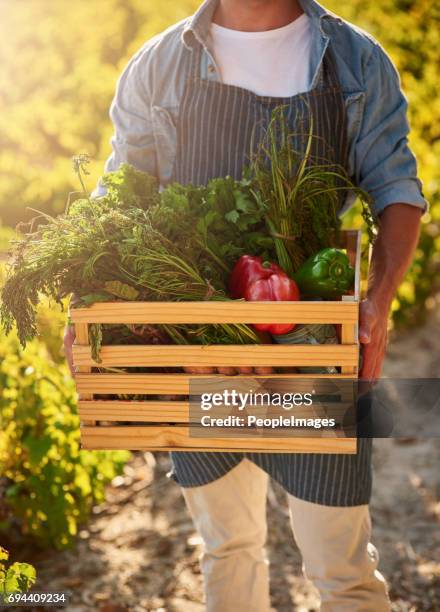 Farmer hands holding freshly harvested produce