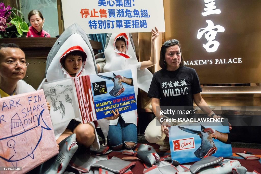 HONG KONG-SHARK-ANIMAL-CONSERVATION-ENVIRONMENT