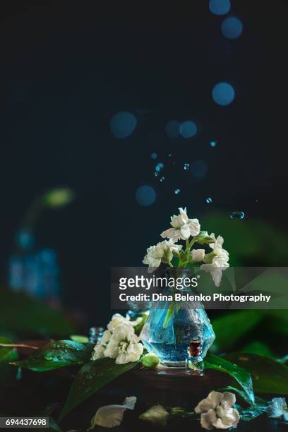 white flowers and green leaves in a glass vase with water drops - lisianthus flowers in glass vases stock-fotos und bilder