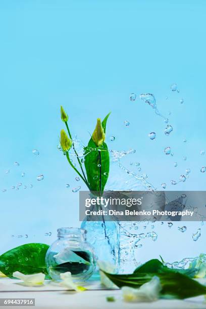 glass botton with flower buds and a frozen splash of water on a blue background - lisianthus flowers in glass vases stock-fotos und bilder