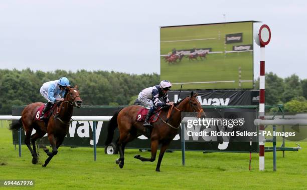 Reachforthestars ridden by Daniel Tudhope wins The Betway Middle Distance Handicap Stakes at Haydock Racecourse.