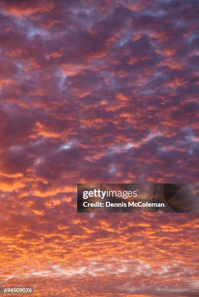 orange sky - dennis mccoleman stock pictures, royalty-free photos & images