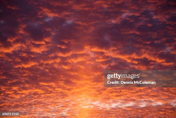 orange sky - dennis mccoleman stock pictures, royalty-free photos & images