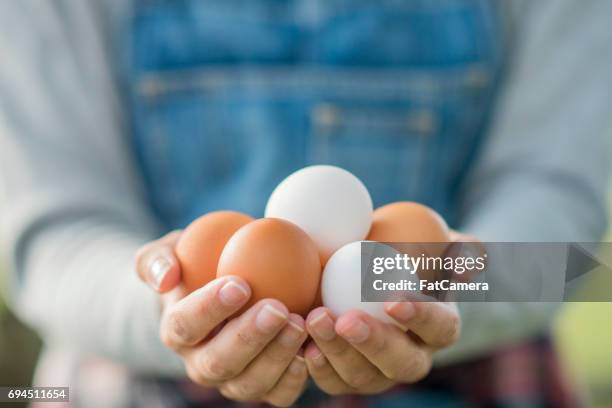 handful of eggs - eggs basket stock pictures, royalty-free photos & images