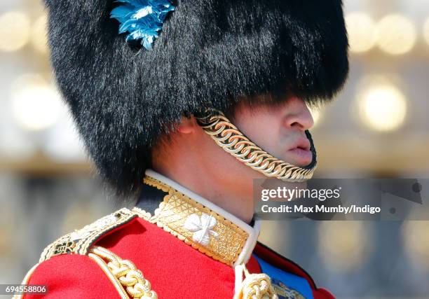 Prince William, Duke of Cambridge takes part in The Colonel's Review on June 10, 2017 in London, England. The Colonel's Review is the second...