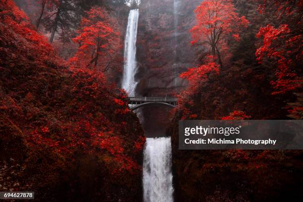 multnomah falls autumn red - portland oregon columbia river gorge stock pictures, royalty-free photos & images