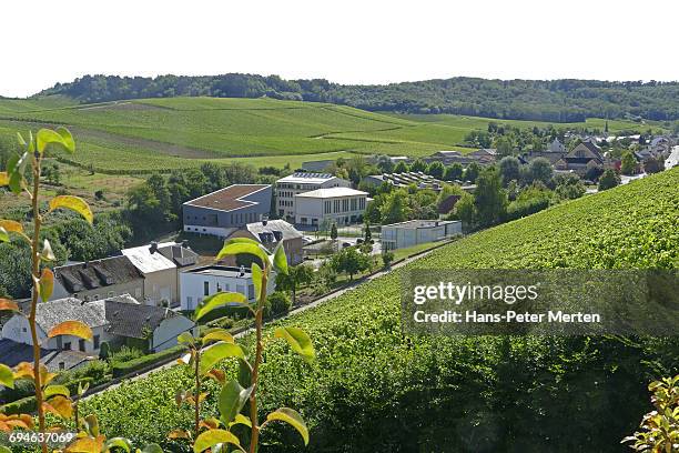 wellenstein and vineyards, moselle, luxembourg - remich stock pictures, royalty-free photos & images