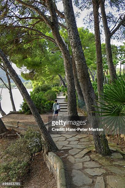 pine walk, hotel barcelo, cap formentor, majorca - cabo formentor stock pictures, royalty-free photos & images