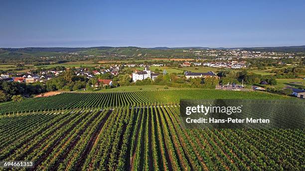 berg palace, perl-nennig, saarland - mosel valley stock pictures, royalty-free photos & images