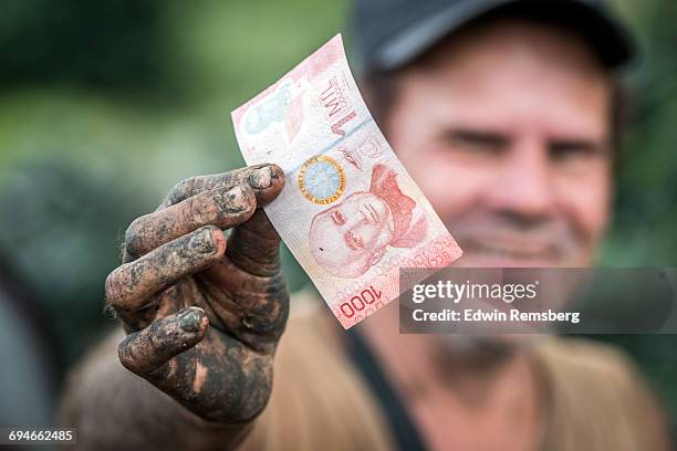 day's pay on coffee plantation - 1000 2016 stock pictures, royalty-free photos & images