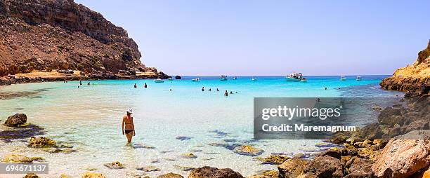 cala pulcino beach, marine natural reserve - lampedusa imagens e fotografias de stock