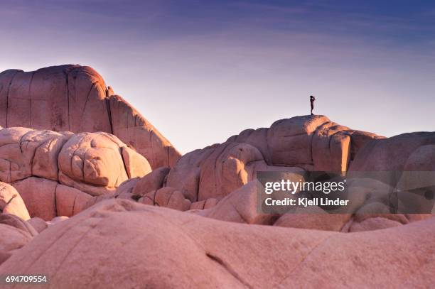 man overlooks joshua tree boulders during sunset - アメリカ　砂漠 ストックフォトと画像