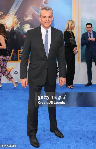Danny Huston attends the premiere of Warner Bros. Pictures' 'Wonder Woman' at the Pantages Theatre on May 25, 2017 in Hollywood, California.