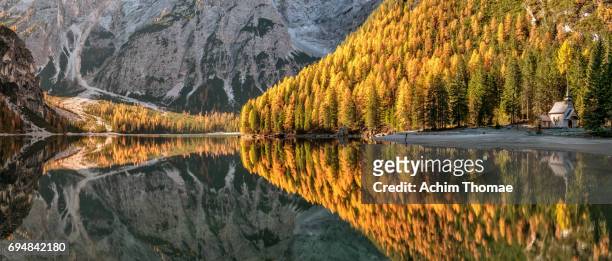 dolomite alps, pragser wildsee, south tyrol, italy, europe - jahreszeit stockfoto's en -beelden