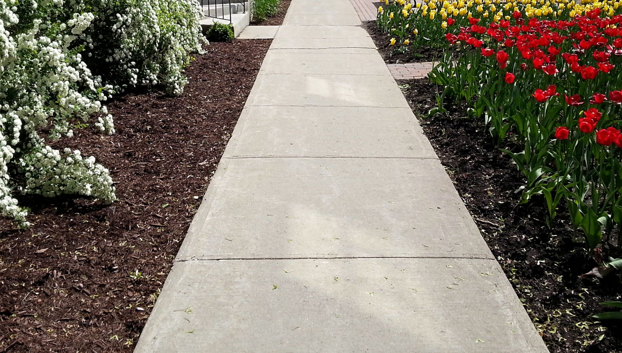 Sidewalk and flowers Sidewalk and flowers