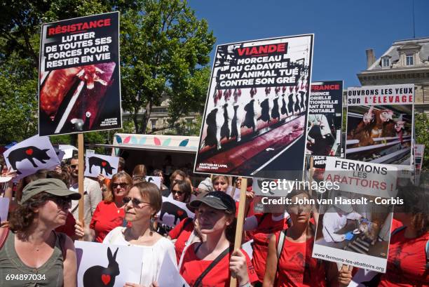 Vegan activists protest at Place de la République for animal rights on June 10, 2017 in Paris, France. The march was organised after the disclosure...
