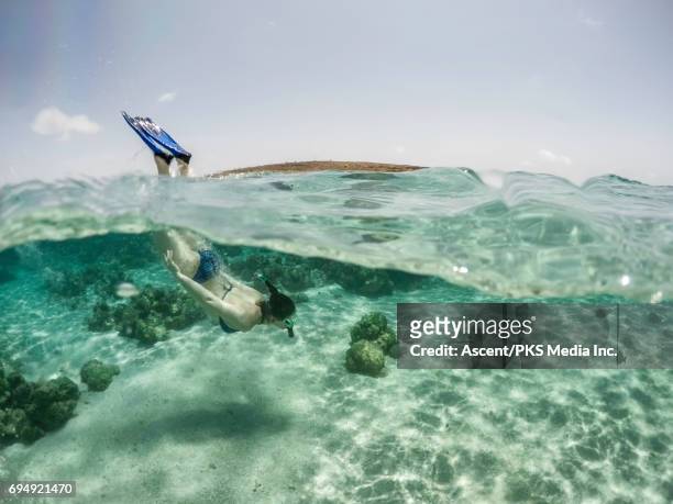 split frame view of woman swimming in clear sea - aruba bildbanksfoton och bilder