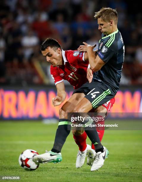 Filip Kostic of Serbia is challenged by David Edwards of Wales during the FIFA 2018 World Cup Qualifier between Serbia and Wales at stadium Rajko...