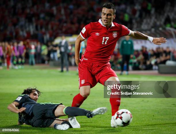 Luka Milivojevic of Serbia is challenged by Joe Allen of Wales during the FIFA 2018 World Cup Qualifier between Serbia and Wales at stadium Rajko...