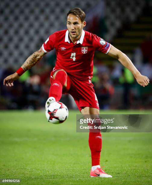Nemanja Gudelj of Serbia in action during the FIFA 2018 World Cup Qualifier between Serbia and Wales at stadium Rajko Mitic on June 11, 2017 in...
