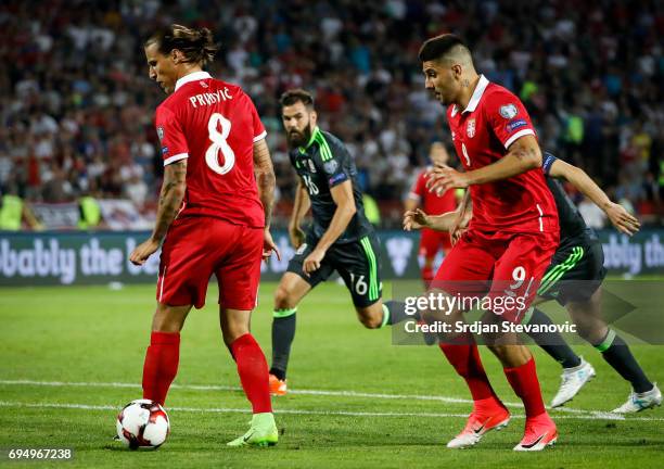 Aleksandar Prijovic of Serbia assist for the goal Aleksandar Mitrovic during the FIFA 2018 World Cup Qualifier between Serbia and Wales at stadium...