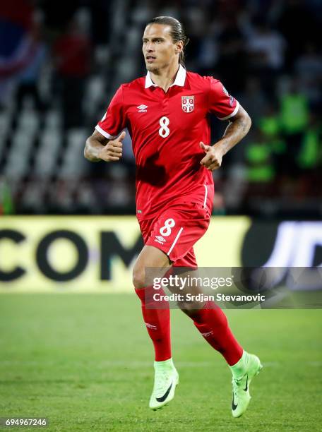 Aleksandar Prijovic of Serbia in action during the FIFA 2018 World Cup Qualifier between Serbia and Wales at stadium Rajko Mitic on June 11, 2017 in...