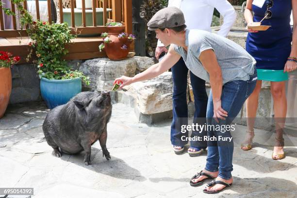 Personality/author Jillian Michaels feeds her pig Stella during the PETA Fundraising Event at Private Residence on June 11, 2017 in Malibu,...
