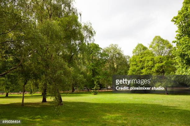 sunny day at hyde park,london - londres inglaterra photos et images de collection