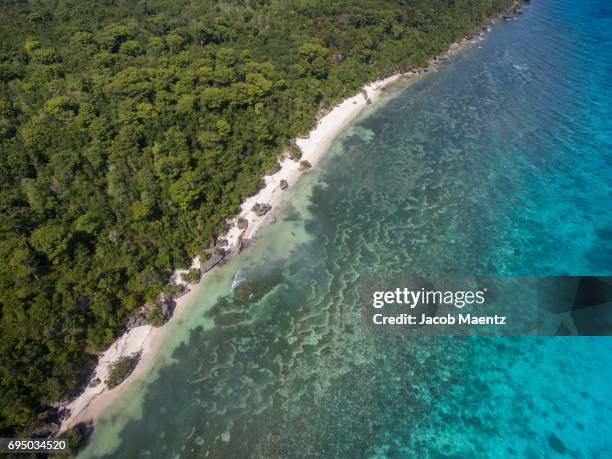 looking down on kagusuan beach, siquijor. - siquijor islands stock pictures, royalty-free photos & images