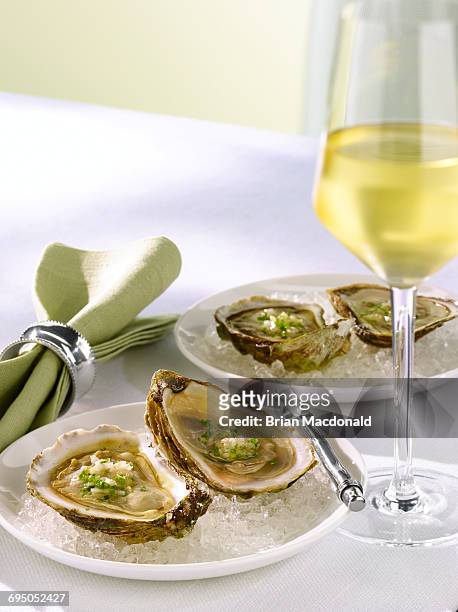 oysters white wine - seafood platter bildbanksfoton och bilder