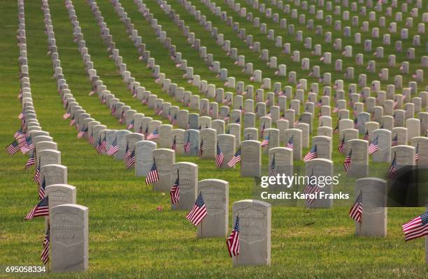 memorial day at los angeles national cemetery - marine corps flag stockfoto's en -beelden