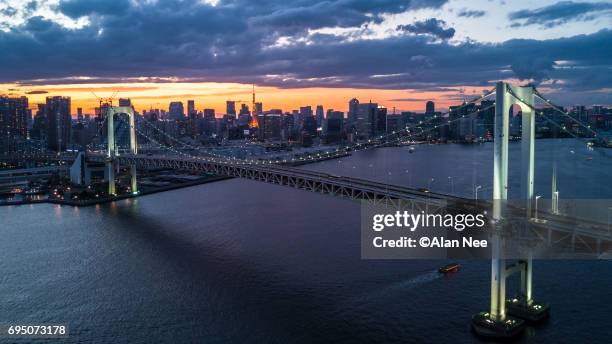 tokyo bay from the air - 首都 stock pictures, royalty-free photos & images