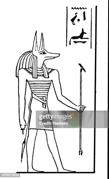 ägyptischer gott anubis - anubis stock-grafiken, -clipart, -cartoons und -symbole